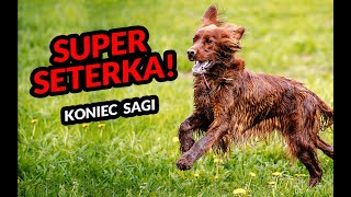 Super seterka! - o smaczkach, gwizdkach, pustych stójkach słów kilka