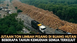 Jutaan Ton Limbah Pisang Di Buang Hutan, Beberapa Tahun Kemudian Semua Terkejut