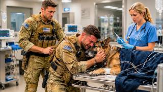 INJURED K9 Was Hours From Euthanasia — Until a NURSE Helped a NAVY SEAL Uncover the TRUTH News