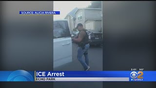 Caught On Tape 2 Ice Agents Apprehend Echo Park Mother