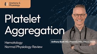 Platelet Aggregation in Thrombosis: Clinical Essentials