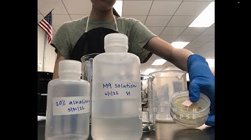 Age Synchronization Procedure in C. elegans