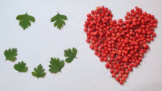 This Red Berry Will Make Your Heart Outlast A 70S Refrigerator Prevent Heart Attacks