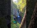#oregon #waterfall #dogfriendly #hike #vanlife #solofemalevanlife #van #vanlifetravel #solotravel