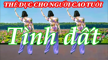TÌNH ĐẤT / BÀI TẬP NHẸ NHÀNG CHO NGƯỜI LỚN TUỔI