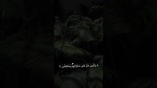 ٢٧ فبراير ٢٠٢٤