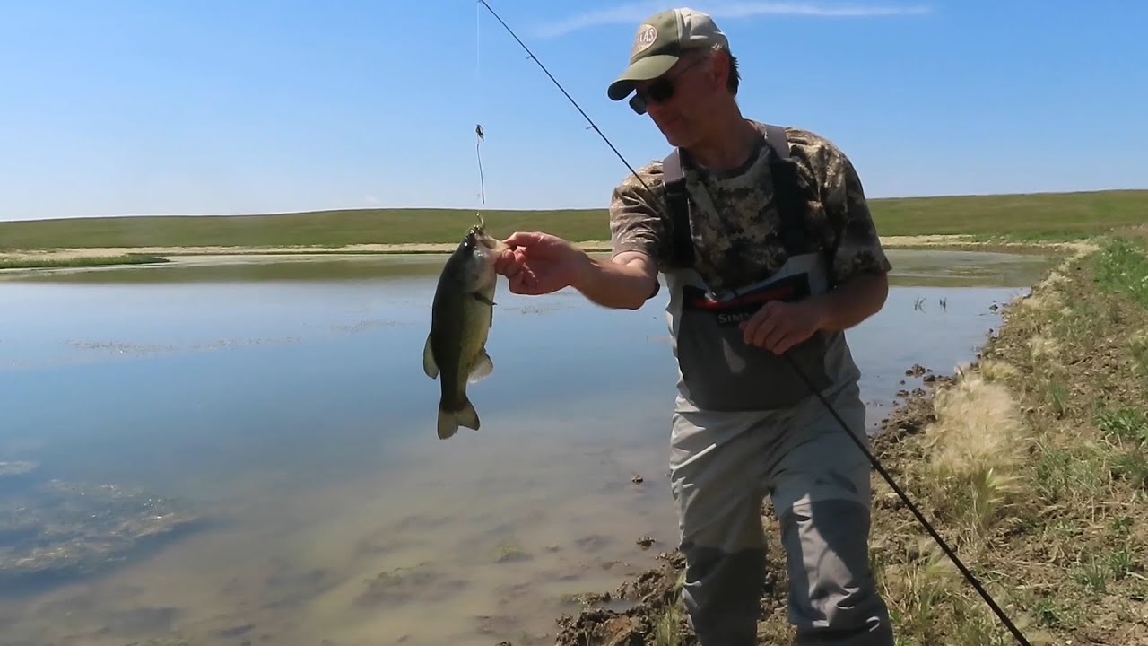 Bass fishing with waders