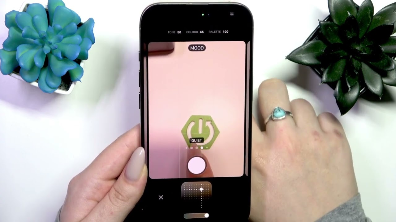 iPhone – كيفية استخدام Photographic Styles (الأنماط الفوتوغرافية)