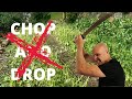 Why CHOP and DROP with cover crops is a WASTE OF TIME!