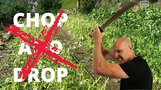 Why CHOP and DROP with cover crops is a WASTE OF TIME!