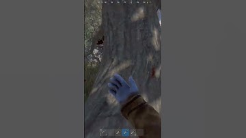 The lag in rust is crazy. #rust #shorts #gaming