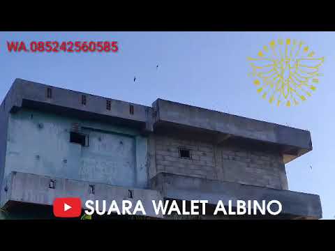 DNA SUARA YANG SUDA TERBUKTI MENGHASILKAN