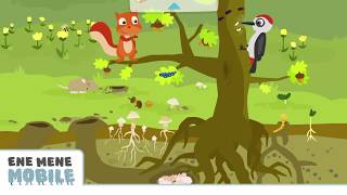 Komplette App Walkthrough Biomio Schöne Wimmelbuch App Für Kinder