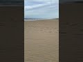 A very chilly early evening at Sandbridge Little Island Beach Park. Still love the beach!