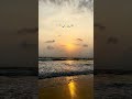 Lost🐚🤍 #viral #beach #goa #travel #ytshorts #peace #vlog #sunset