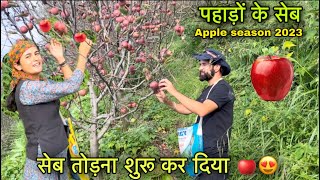 सेब तोड़ना शुरू कर दिया || Apple orchard in Shimla || Pahadi lifestyle Vlog || Girl from North