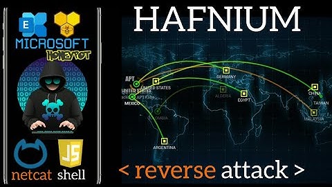 Microsoft Exchange Honeypot - ProxyLogon Hafnium counter Exploit - CVE-2021-26855