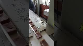 Flow Pack Empaque Panela Plastico Sobre Banda
