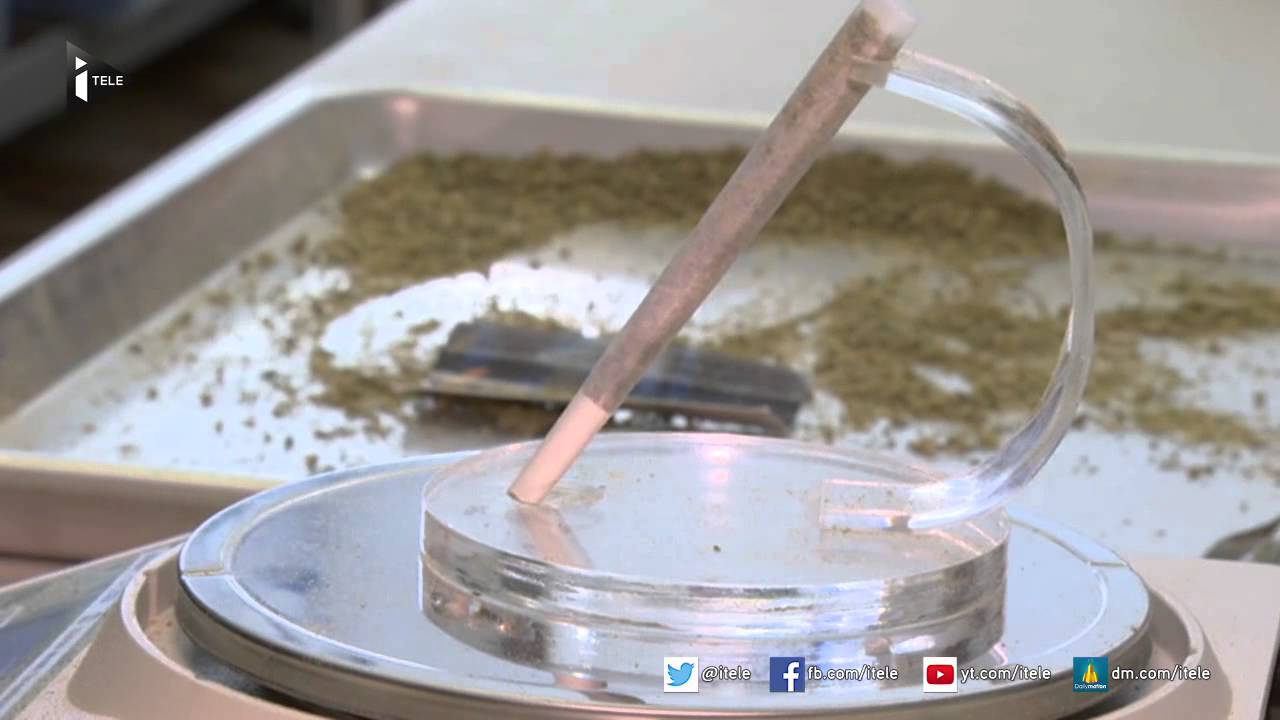 Colorado: 30 millions de dollars de bonus fiscal grâce à la légalisation du cannabis