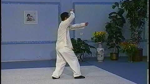 VTC 14 Xing Yi Hawks Eight Steps Preview www.WLE.com