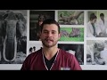 ¿POR QUÉ ESTUDIAR VETERINARIA? | UCG