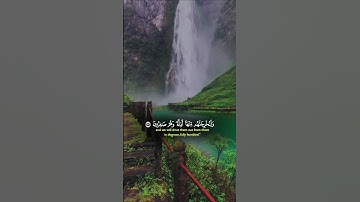 تلاوةسورة النمل بصوت ياسر الدوسري#ياسر_الدوسري #سورة_النمل #تلاوة_خاشعة #قرآن_كريم #شورت_قرآن #آيات