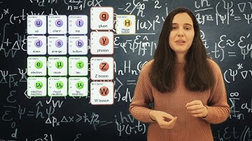 PMEFT - "B meson production measurements in pp and PbPb collisions at the LHC"