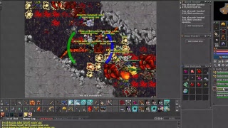 TIBIA EN VIVO! DARASHIA CAMINO A FERUMBRAS