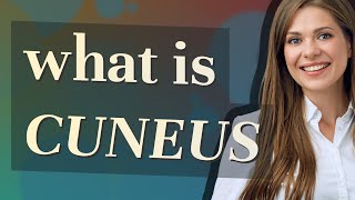 Cuneus | meaning of Cuneus