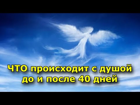 Куда отправляется душа