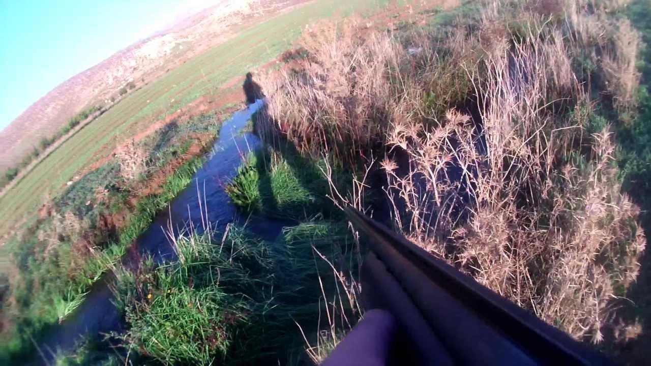 Hunting In Lebanon , Season 2012 ( Edited With Slow Motion) YouTube