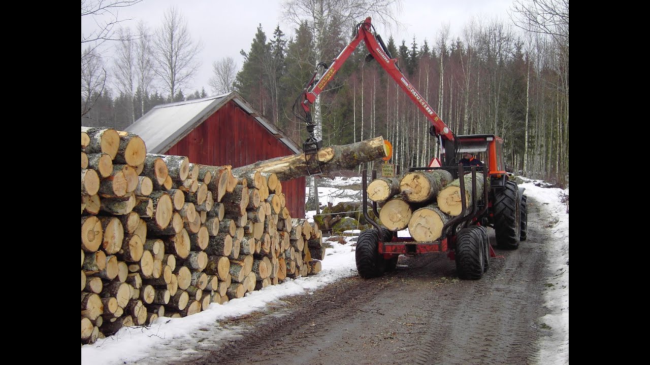 Valmet 805 & Patu 545 extracting birch timber - low quality footage