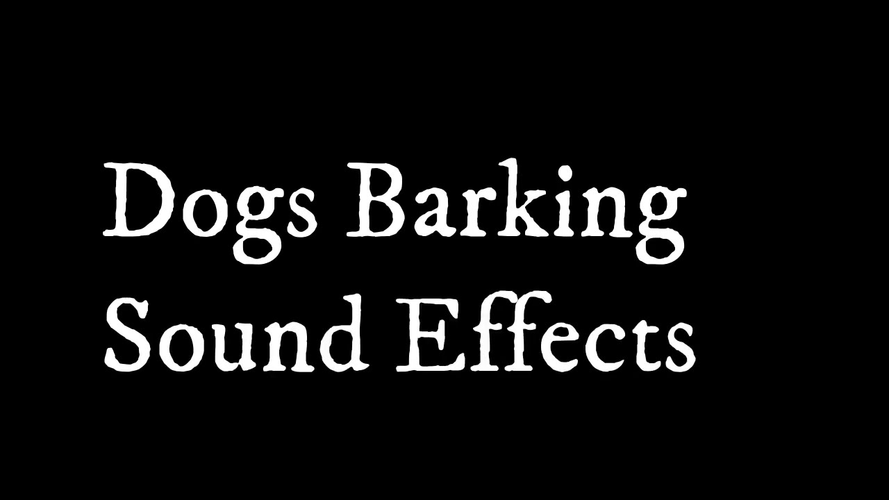 Dogs Barking Sounds Effects YouTube Dogs barking sounds effects youtube