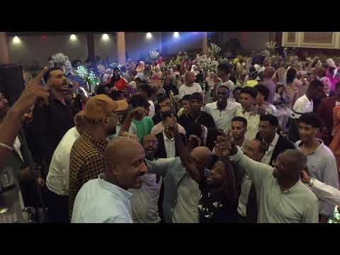 افراح دابود حسن عبد العزيز مع شباب دابود بالاسكندرية