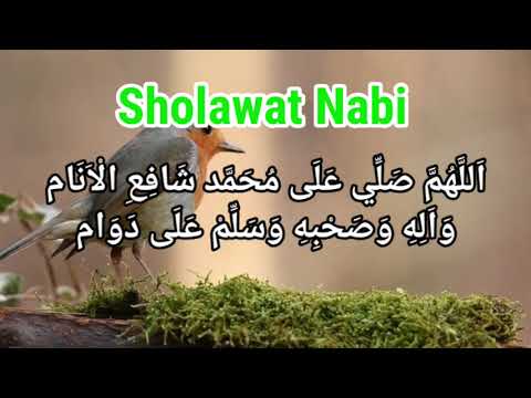 Sholawat Nabi kamis pagi merdu,hati tenang dan tentram Allahumma sholli ala muhammad syafiil anam,