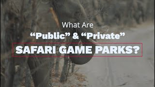 What Are "Public" and "Private" Safari game Parks?