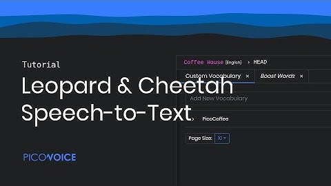 Picovoice Console Tutorial: Leopard & Cheetah Speech-to-Text