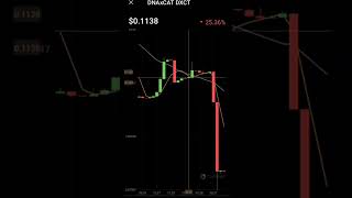 Dnaxcat Cryptocurrency Price Increased Dxct Coin