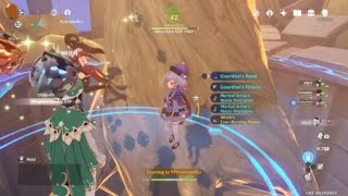 Domain coop Insane Venti