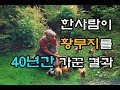 세계에서 가장 아름다운 정원:타샤 튜터의 정원