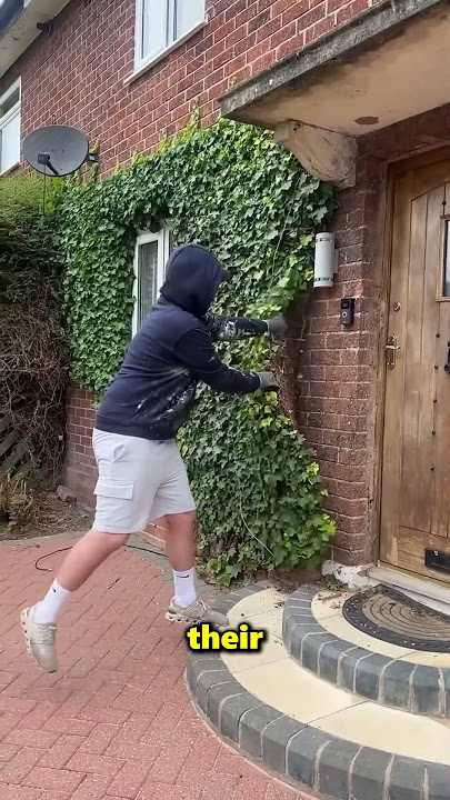 Vines Can Ruin Your House? 😱