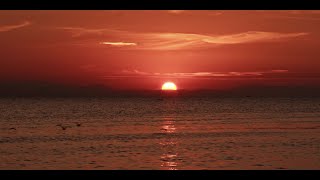 Eylül Ayan, Aksel ft Emrah Karaduman - Veda (Official Lyric Video)