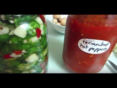 🌶 Quick & Easy Fermented (Probiotic) Hot Peppers & Sauce 🌶