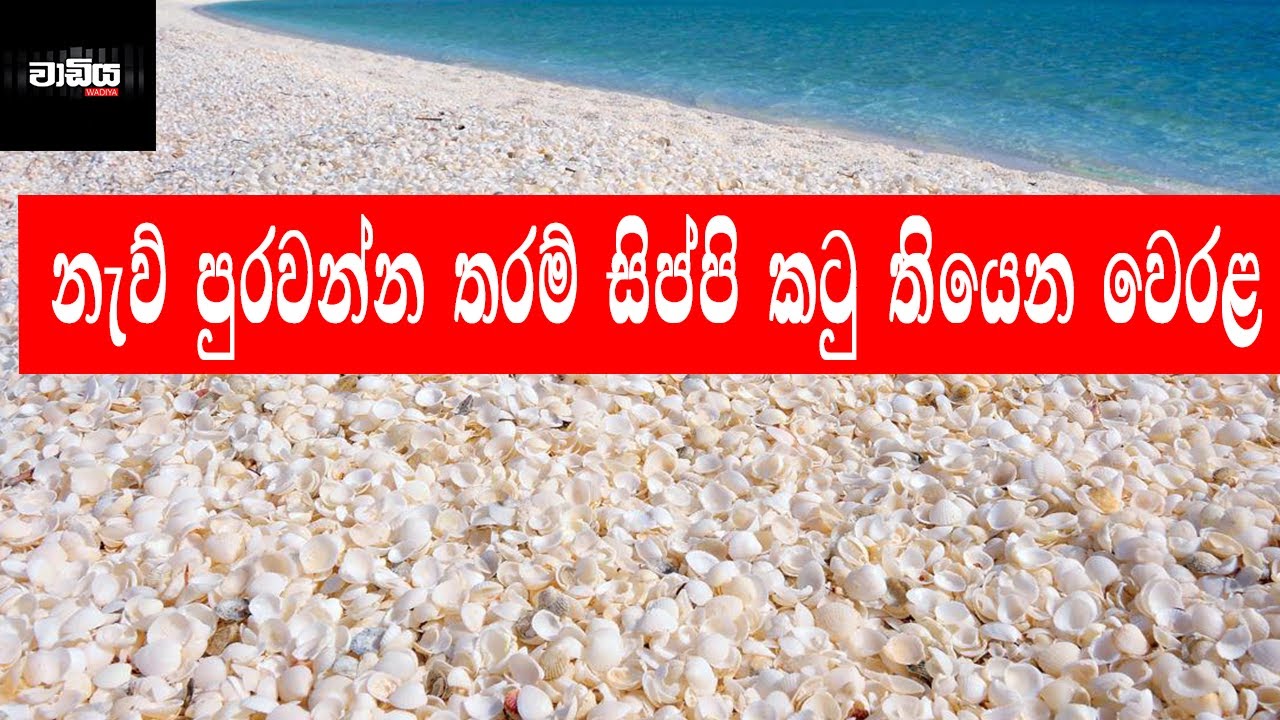 බටහිර ඕස්ට්රේලියාවේ සිප්පි කටු වෙරළ තීරය / Shell Beach (Western ...