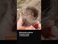 «Уже птахи плетуть гнізда з оптоволокна» / hromadske