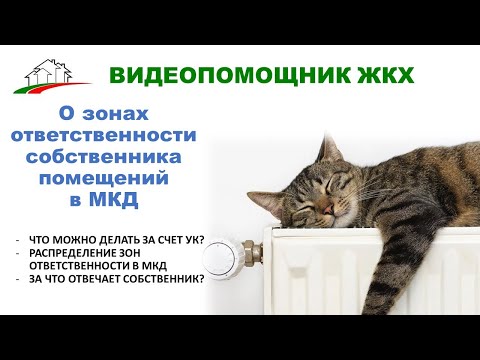 За что в МКД отвечаем мы, а за что управляющая компания? Рассказываем о зонах ответственности