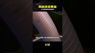 憑什么叫液態黃金?2分鐘看懂橄欖油從果實到成油的榨取過程 #橄榄油,液态黄金,制作过程,榨油,科普