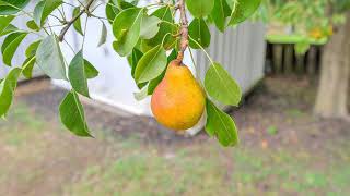 10207 Hillside Lane Fredericksburg, VA 22408 - Single Family - Real Estate - For Sale