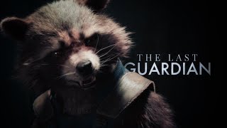 Rocket Raccoon | The Last Guardian