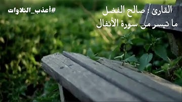 تلاوة خاشعة للقارئ صالح الفضل #أعذب_التلاوات